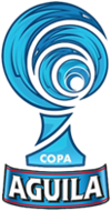 Football - Soccer - Copa Colombia - 2021 - Home