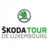 Cycling - Tour de Luxembourg - 2010 - Detailed results