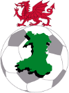 Football - Soccer - Welsh Premier League - 2008/2009 - Home