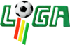 Football - Soccer - Primera División de Bolivia - 2019 - Home